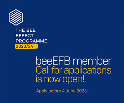 Apply as beeEFB alumni